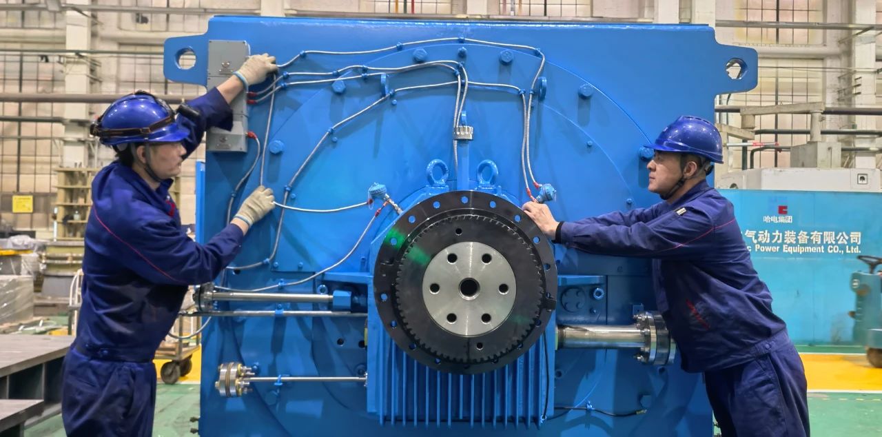 ed_1743474141342450.jpg 5.jpg